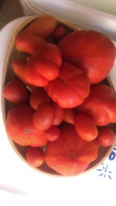 POMODORI