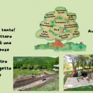 5 X 1000 a  Tum so’                                                     Destina il tuo 5 X 1000 a Tum so’ Cooperativa Sociale
